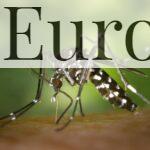 Enfermedades contagiadas por mosquitos