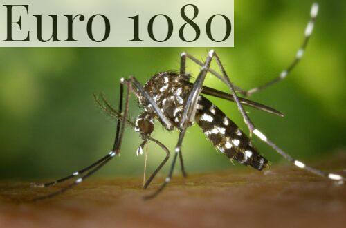 Enfermedades contagiadas por mosquitos